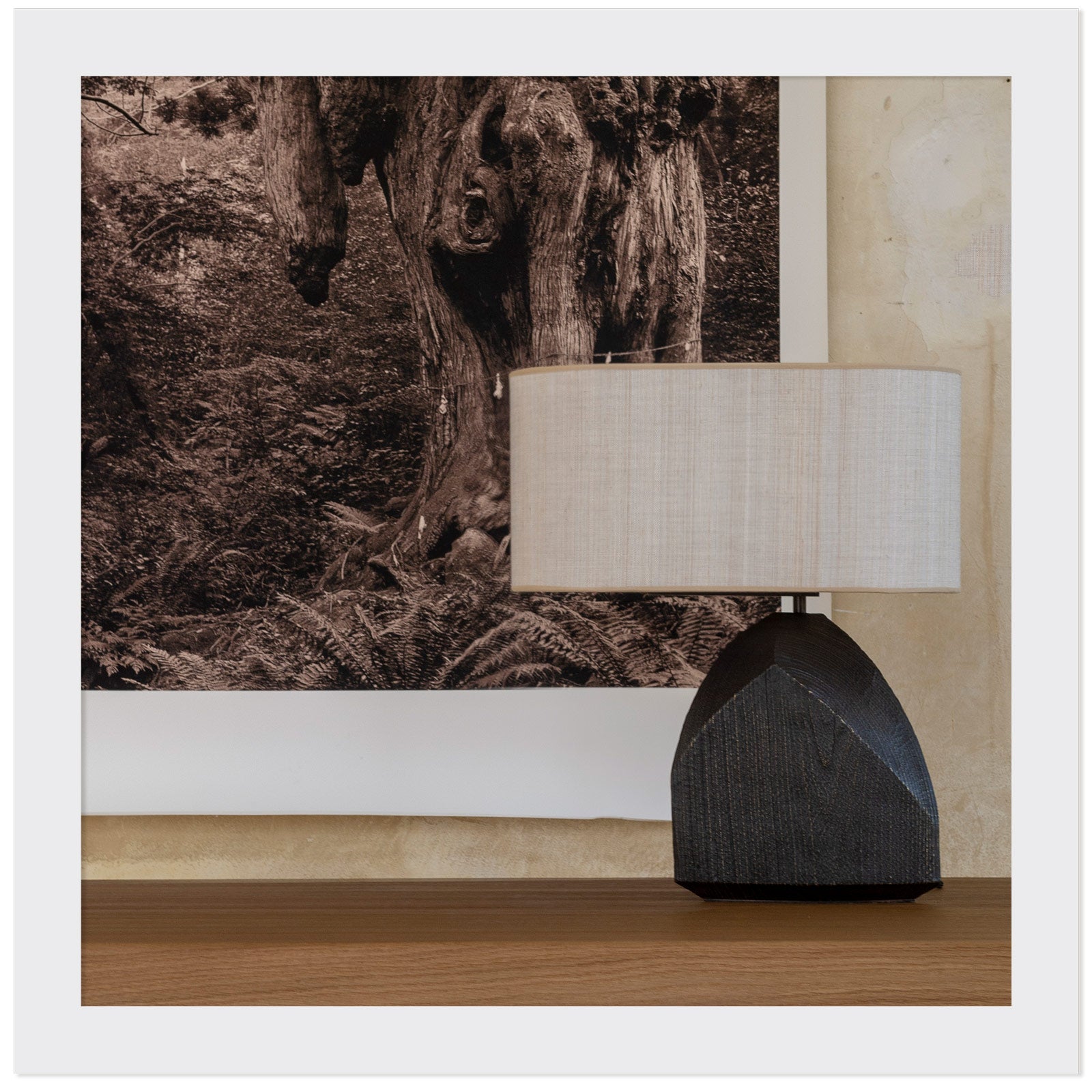 La lampe Faro en bronze et acaba posé sur une table avec une photo d'arbre en noir et blanc en arrière plan